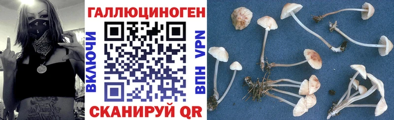 наркота Колпашево KRAKEN ONION Галлюциногенные грибы Magic Shrooms